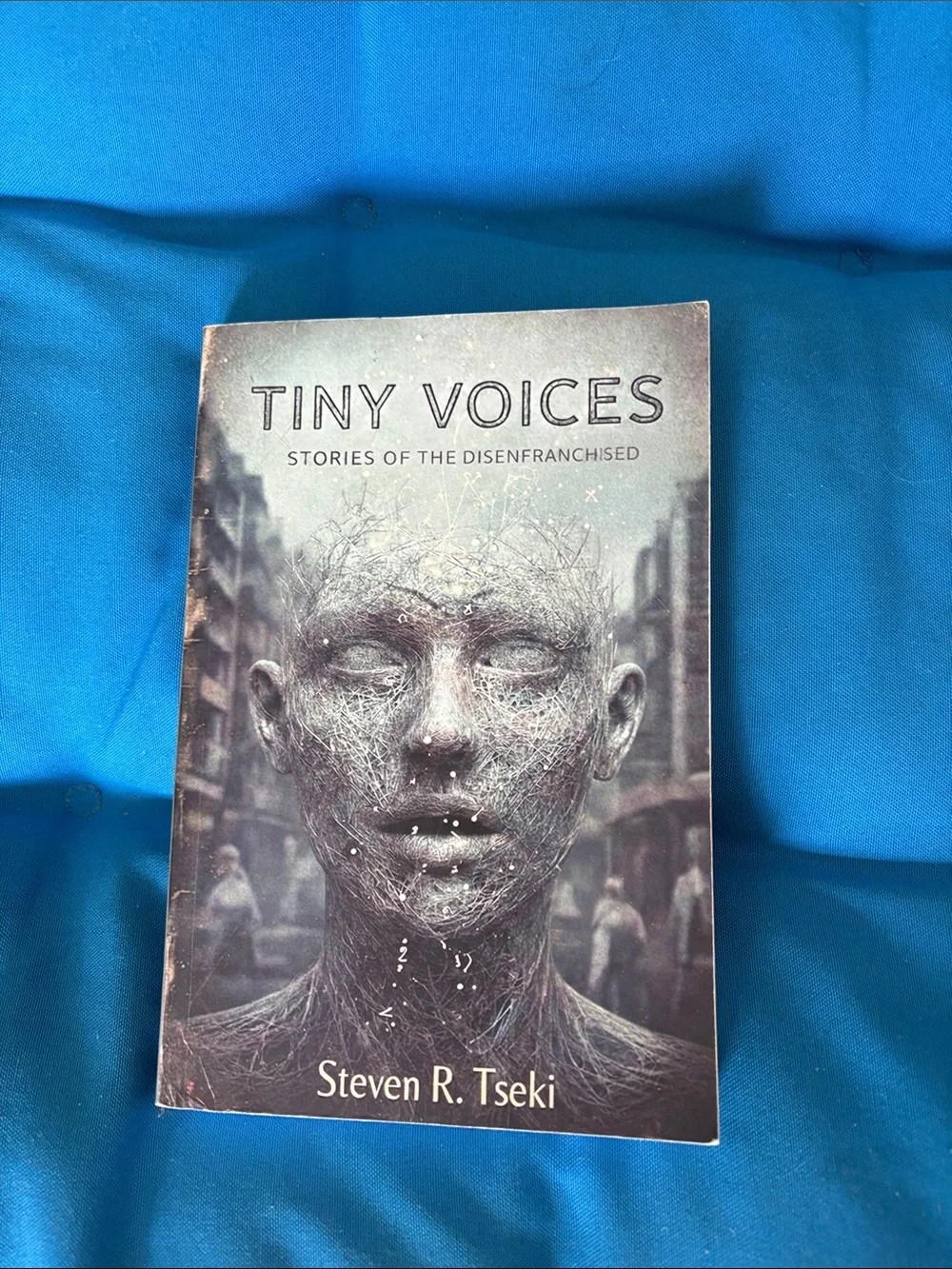 Tiny Voices Stories Of The Disenfranchised By Steven R. Tseki SignedBookByAuthor